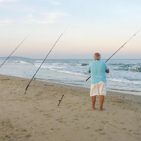 Stunning In Sete With Wifi Apartment Sète